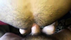 Follando e Inseminando un Culo Peludo Caliente