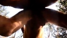 Daddy fucked in the Forest