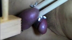 Testicle torture Cumshot very painful ballbusting